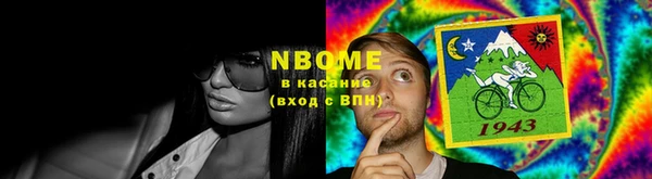 стафф Алзамай